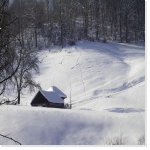 paysage_rural_hiver